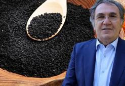 İbrahim Saraçoğlu, Amerikalı profesörün kızına verdiği mucizevi yağı açıkladı! Vücutta tamir edemediği hiçbir yer yok