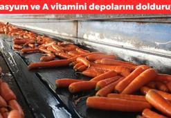 Haşlayınca besin değeri azalıyor! Çiğ çiğ doğrayıp tüketin