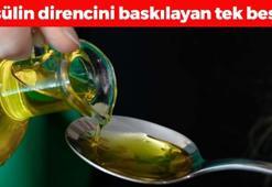 Ölümsüzlük tohumu olarak biliniyor! Binlerce yıllık şifa deposu: Karaciğere reset atıp insülin direncini anında baskılıyor!