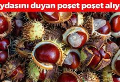 Pazarda gören kapış kapış alıyor! Kilosu 200 TL: Bağırsakları harıl harıl çalıştırıyor, doğada kendiliğinden yetişip kemikleri betona çeviriyor!