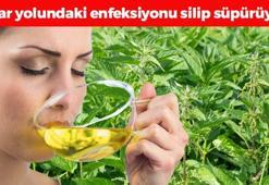 Çayını yapıp bardak bardak için! İdrar yolu enfeksiyonlarını temizliyor, böbrekleri diyalizden kurtarıyor! Kabızlığa en doğal çare