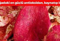 Doğanın C vitamini kralı! Daralan damarları genişletiyor, bardak bardak içenin kolesterol seviyeleri yere çakılıyor!
