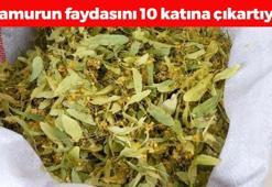 Ihlamurun içine 1 parça ekleyin! Böyle tüketince faydası 10 kat artıyor, öksürük, balgam ve hırıltıyı bıçak gibi kesiyor!