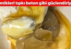 Kalbin en iyi dostu! Kemikleri beton gibi güçlendiriyor, tahinin içine 1 bardak eklemek yetiyor! Ispanaktan 8 kat daha etkili, kolesterolü bitiriyor!