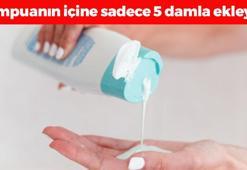 Şampuanın içine 5 damla eklemek yetiyor! Kıl köklerini coşturup kelliği tarihe gömüyor! Işıl ışıl ve kepekten arınmış saçların sırrı