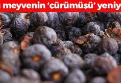 Bu meyveyi yemek isteyenler çürümesini bekliyor! 2 yılda 1 kendiliğinden yetişiyor, kilosu 100 TL: Doğal şeker ilacı, tıkalı damarları açıyor!