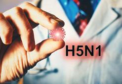 ABD’de kuş gribi can aldı