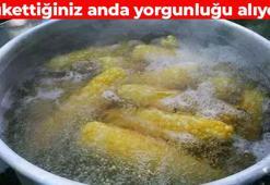 Tencerede haşlayıp tüketin! B1, B5 ve B9 deposu: Enerji metabolizmasını harıl harıl çalıştırıyor