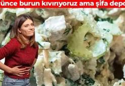 Tadını kimse sevmiyor ama tam bir şifa deposu! A, K ve C vitamini deposu: Sindirim sistemini makine gibi çalıştırıyor