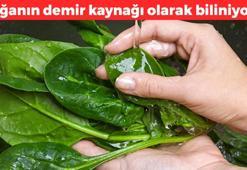 1 aylık demir ihtiyacını bir kaşıkta karşılıyor! Karaciğer ve böbreklerdeki toksinleri süzgeç gibi süzüyor: Kan basıncını terazi gibi dengeliyor