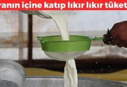 Ayranın içine 1 kaşık ekleyin! Etkisi 10 katına çıkıyor, kemikleri beton gibi yapıp tansiyona iyi geliyor