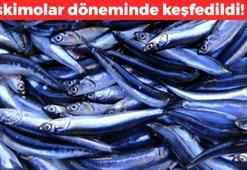Eskimolar döneminde keşfedildi! Kolesterolün kökünü kurutuyor: Kilosu 100 TL,  Fırınlayıp yiyince kalp krizi riskini yüzde 95 azaltıyor, demir ve selenyum zengini