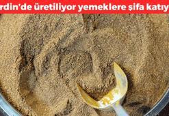 Baharatların vitamin deposu! Yemeklerin içine 1 çay kaşığı ekleyin: Doğal antioksidan kaynağı insülini dengeliyor
