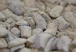 Günde 1 tane yedi 30 yıl boyunca grip olmadı! Vücuda hastalık girmesine izin vermiyor...