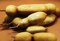 Doğal Şifa Kaynağı Demirhindi: Kullanımı ve Mucizevi Etkileri