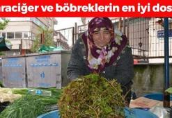 Karaciğere resmen reset atıyor! Doğada kendi kendine yetişiyor: Kan şekerini terazi gibi dengeliyor, böbrekleri yeniden doğmuş gibi yapıyor!