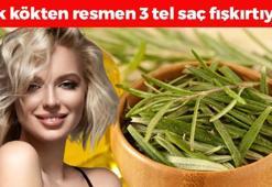 Saç köklerini resmen coşturuyor! Kepek, kaşıntı ve mantarın kökünü kurutuyor, saçları 1 ayda 4 santim uzatıp köklerine bedava vitamin yüklüyor!