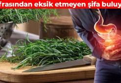 Bayburt'ta 'dargun' olarak biliniyor! Sindirim sistemini sıfırlıyor: Doğal ağrı kesici etki gösteriyor