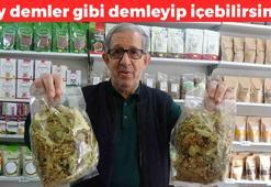 Çay demler gibi demleyin! Hazımsızlık ve şişkinliğin kökünü kurutuyor