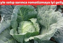 Kemik ağrısını tarihe karıştırıyor! Yaprağını ütü ile yumuşatıp eklem bölgelerine sarın: Her yaprağı 10 saatte bir değiştirin