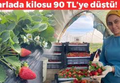 Yaz meyvesi kışın gözdesi oldu! Antalya'da hasadı yapılıyor: Fiyatı 90 TL'ye düştü!