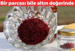 Bir parçası bile altın değerinde! Tek damlası kan dolaşımını hızlandırıyor: Damardaki iltihabı söküp atıyor, tam bir antioksidan deposu