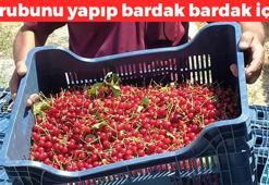 Şurubunu yapıp bardak bardak için! İdrarı saniyesinde söktürüyor, tıkalı damarları çamaşır suyu gibi temizliyor
