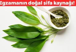 Mantarın kökünü kurutuyor! Yapraklarını toz haline getirip ince bir tabaka halinde sürün: Cilt kusurlarını gideriyor