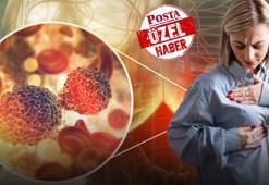 12 yaşından önce adet olan kadınlarda risk daha yüksek! Prof. Dr. Vahit Özmen uyardı: Bel ağrısıyla bile teşhis alan var!