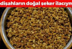 Tıkalı damarları yağ çözücü gibi açıyor, insülin direncini anında kırıyor! Doğal şeker ilacı, egzamanın en kesin çaresiymiş