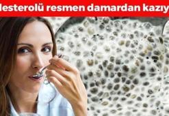 Yoğurtla karıştırıp kaşık kaşık yiyince kolesterolü damardan kazıyor! Kemikleri betona çeviriyor, kan şekerini terazi gibi dengeliyor!