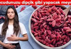 'Kurt üzümü' adıyla da biliniyor! Vücudun savunma sistemini güçlendiriyor: Karaciğerde karış karış biriken yağı söküyor