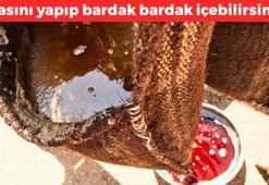 24 saat dinlendirildikten sonra süzülüyor ve tekrar kaynatılıyor! Tarihin tozlu sayfalarından çıkarılan tarif