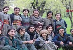 MİT'ten nokta operasyon! Şiraz Ömer etkisiz hale getirildi