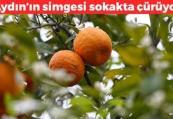 Kilosu 45 TL ama değerini bilen yok! Aydın'da sokakta çürüyor: Kalp çarpıntısını önleyip sinir sıkışmasını gideriyor: Kan şekerini yere çakıyor, potasyum ve kalsiyum depolarını saniyesinde dolduruyor