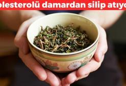 Kolesterolü silip atıyor! Damarlardaki iltihabı saniyesinde kurutuyor: Doğal kan sulandırıcı