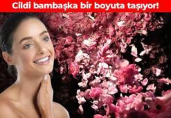 Sakın kozmetik dükkanlarına para dökmeyin! Yüzde 100 doğal nemlendirici: Yaz kış demeden kullanın, cildi 10 yaş birden gençleştiriyor