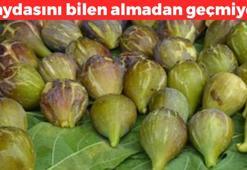 Meyvelerin bir tanesi! Değerini bilen kilo kilo alıyor, bilmeyen yüzünü çeviriyor: 70 derdin şifası, bağırsak kurdunu saniyesinde döküyor