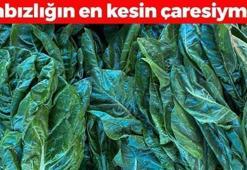 Faydasını duyan torba torba alıyor! Demeti 30 TL: D vitamini ve demir depolarını fullüyor, kemikleri taş gibi güçlendirip kabızlığın kökünü kazıyor!