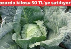Pazarda kilosu 30 TL! İnce ince kesip turşusunu kurun: Dünyanın en güçlü probiyotik kaynağı: 1 sene bozulmuyor 1 çatal yiyen doktor yüzü görmüyor