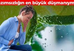 Sudan sonra en sağlıklı içecek! 1 şişe içince böbrekleri makine gibi çalıştırıyor: Magnezyum depolarını saniyesinde dolduruyor