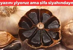 Kastamonu'da yetişiyor! Beyazını yiyoruz ama esas şifa siyahındaymış: Kalbi güçlendirip damarları anında genişletiyor, 6 diş yutmak yetiyor
