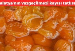 Malatya'nın nadide tatlısı! Hafif tadıyla öne çıkıyor: Bağırsakları çalıştırıp vücuda potasyum yüklüyor, hem bütçe dostu hem pratik