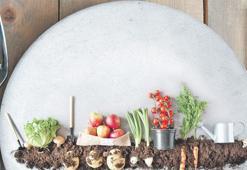 Bitki bazlı gıda yatırımları rekor kırıyor