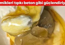 Kalbin en iyi dostu! Kemikleri beton gibi güçlendiriyor, tahinin içine 1 bardak eklemek yetiyor! Ispanaktan 8 kat daha etkili, kolesterolü bitiriyor!