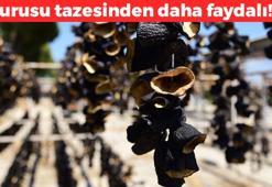 Buzdolabında 6 ay taze kalıyor! Kurusu tazesinden daha faydalı: Dolma, kısır ve çorbayı şifaya boğuyor: Lif, kalsiyum ve demir zengini