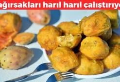 Doğada kendiliğinden yetişiyor! Karaciğeri çamaşır suyu ile temizlemiş gibi tertemiz yapıyor: Bağırsakları harıl harıl çalıştırıyor, kabızlığı anında kesiyor