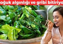 B12 değerlerini tavan yaptırıyor! Bağırsakları harıl harıl çalıştırıyor: Damarları hortum gibi açıyor, insülini baskılayıp kan şekerini dengeliyor