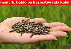 Osmancık, basmati, baldo... Hiçbiri değil! En sağlıklı pirinç belli oldu: Vücudu antioksidana doyuruyor