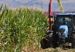TARIM VE HAYVANCILIK DESTEK PAKETİ: Hayvancılık desteği alma şartları neler, başvurular başladı mı? Cumhurbaşkanı Erdoğan açıkladı